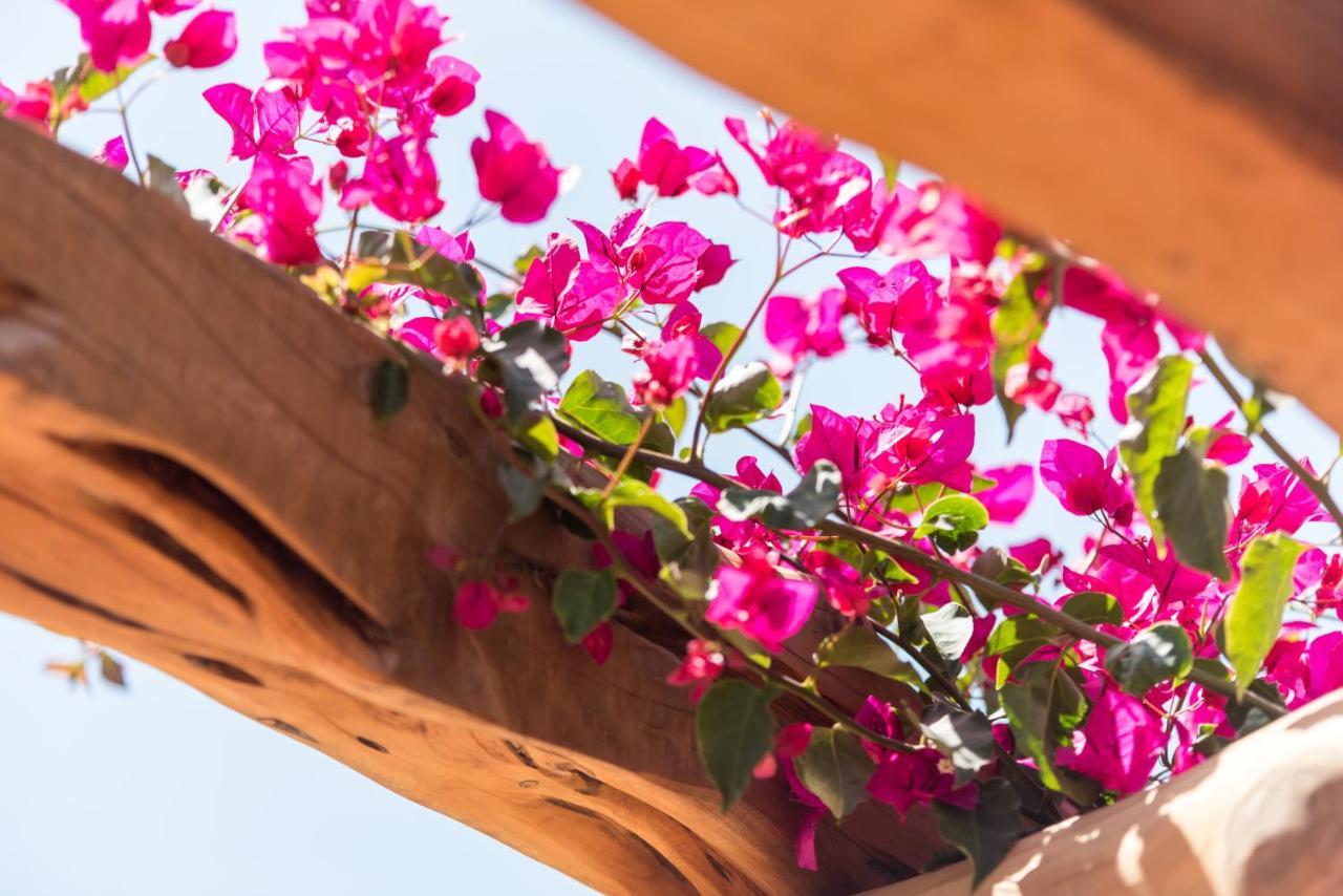 Valley Club Ibiza - Boutique Agroturismo Sant Joan De Labritja Ngoại thất bức ảnh