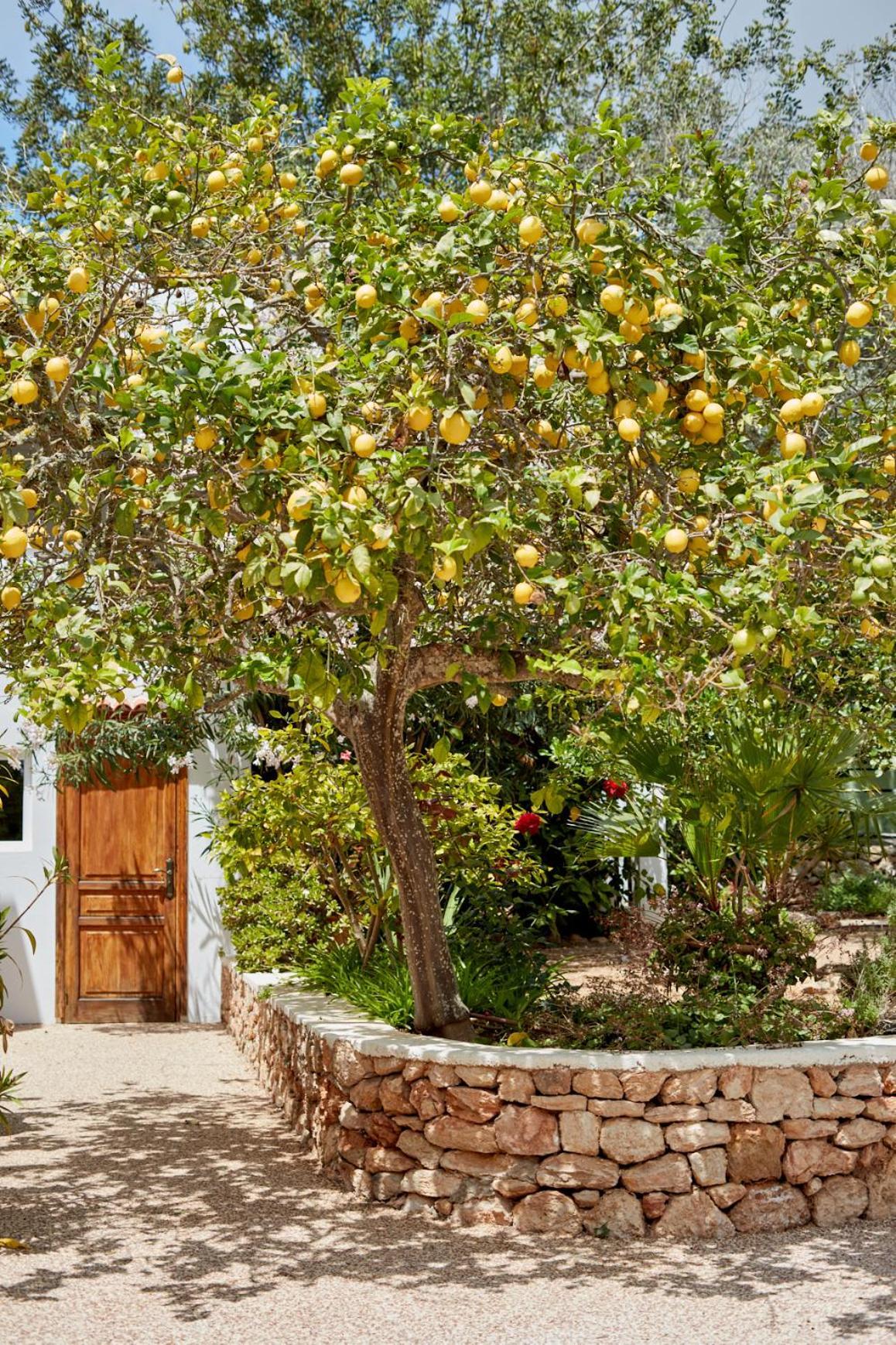 Valley Club Ibiza - Boutique Agroturismo Sant Joan De Labritja Ngoại thất bức ảnh
